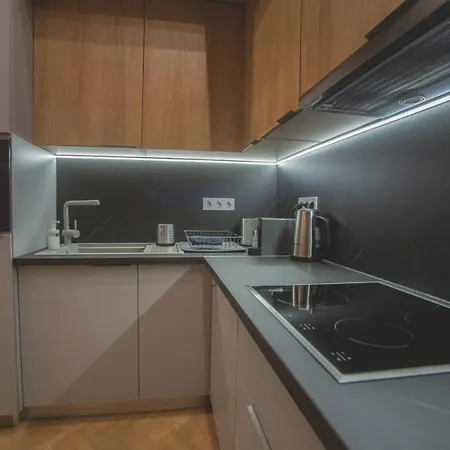 公寓 At The Castle 布达佩斯